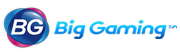 logo big gaming
