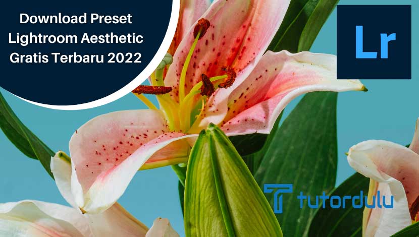 Download Preset Lightroom Aesthetic Gratis Terbaru 2022